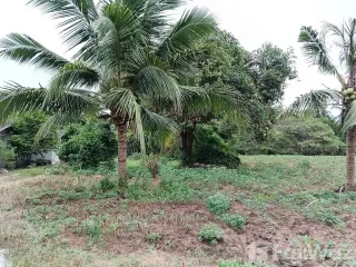 Продажа Участок в Ban Bueng, Чонбури