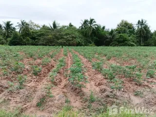 Продажа Участок в Ban Bueng, Чонбури