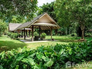 出售 土地 在 Suan Phueng, Ratchaburi
