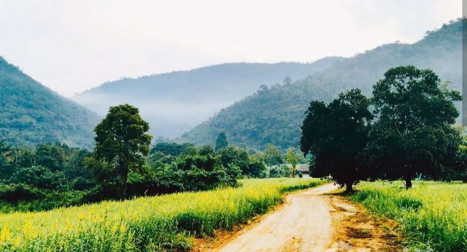 For sale land in Suan Phueng, Ratchaburi
