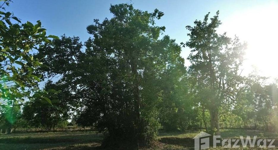 For sale land in Prasat, Surin