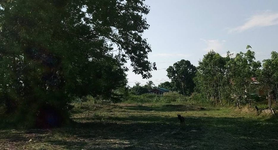 For sale land in Prasat, Surin