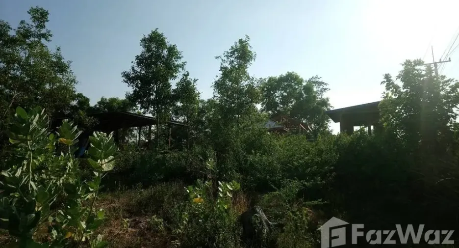 For sale land in Prasat, Surin