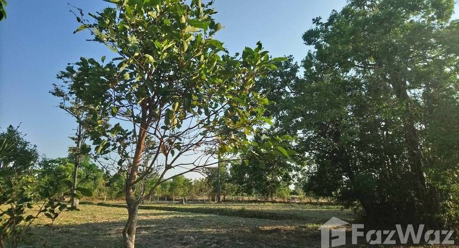 For sale land in Prasat, Surin
