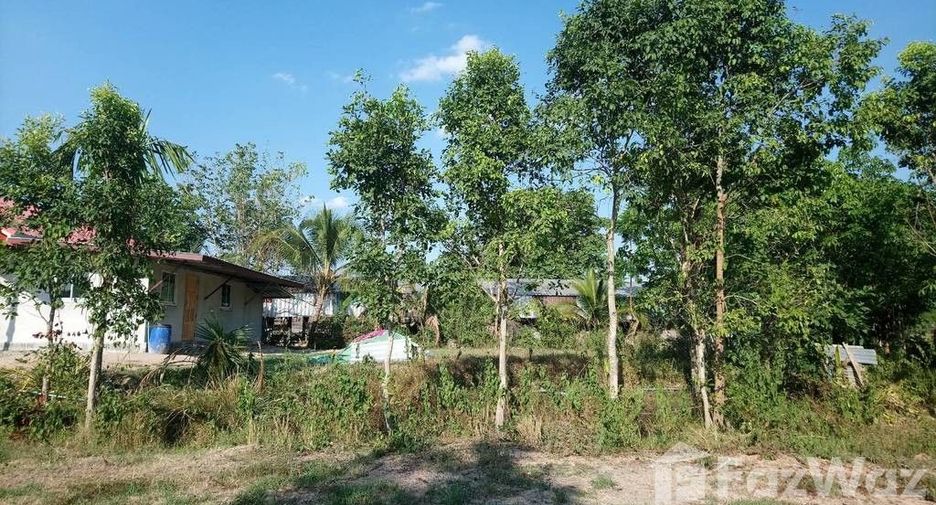 For sale land in Prasat, Surin