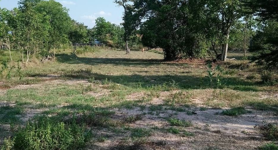 For sale land in Prasat, Surin