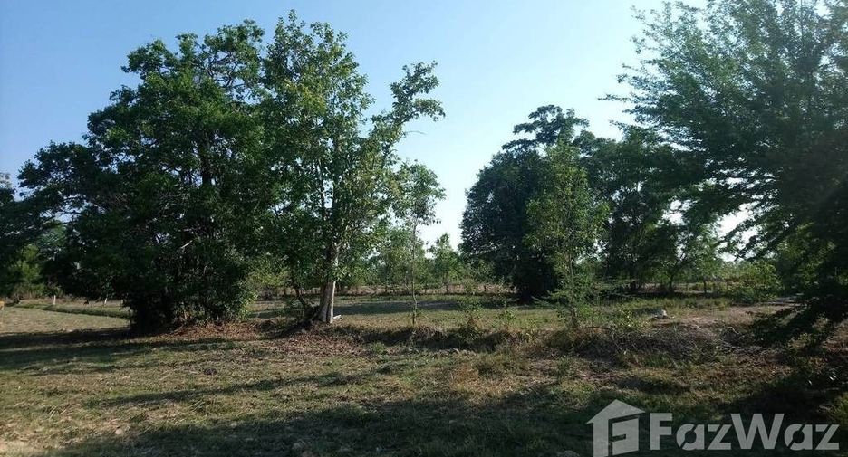 For sale land in Prasat, Surin