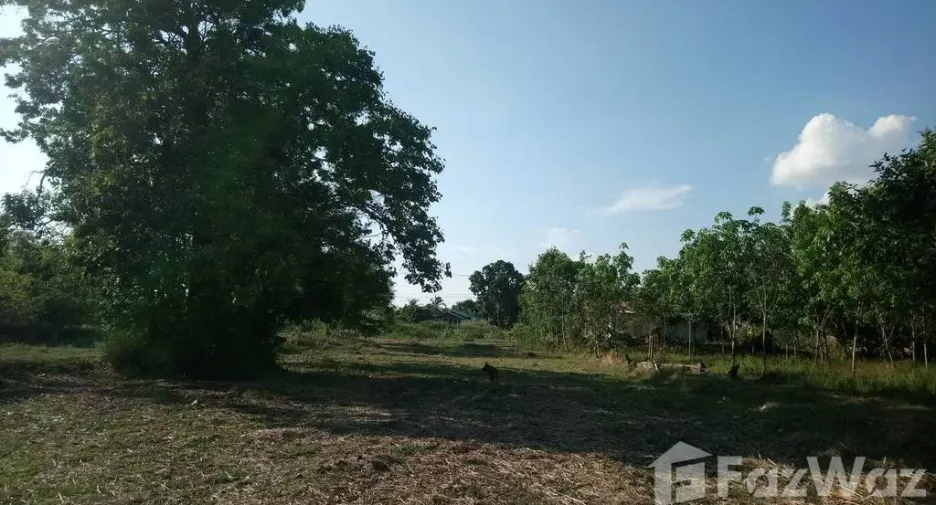 For sale land in Prasat, Surin