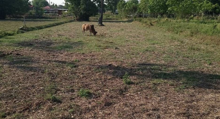 For sale land in Prasat, Surin