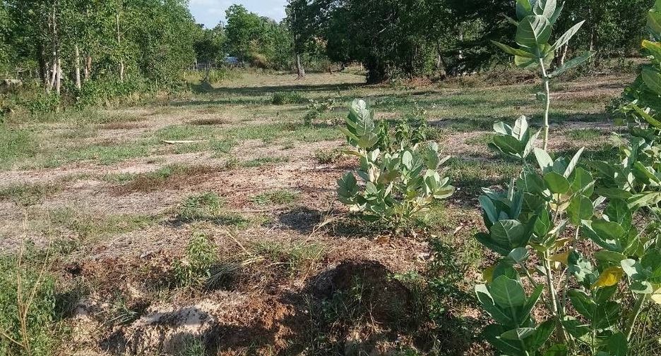 For sale land in Prasat, Surin