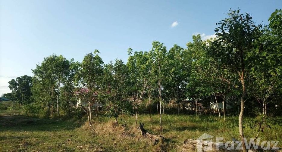 For sale land in Prasat, Surin