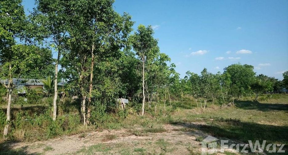 For sale land in Prasat, Surin