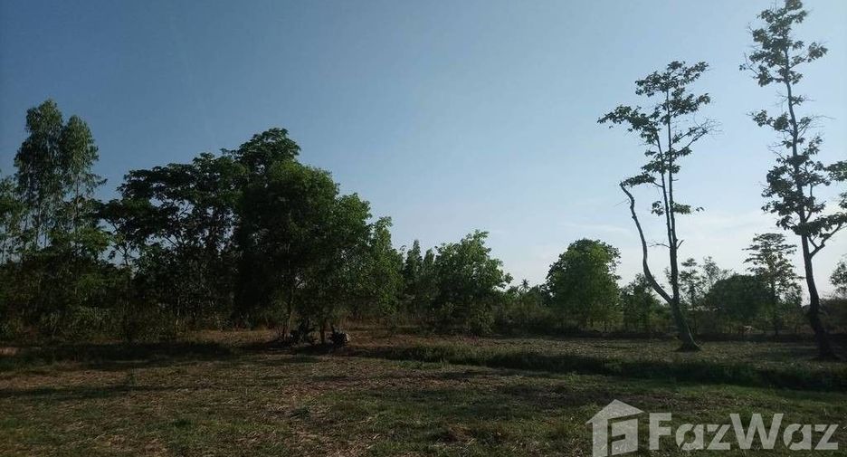 For sale land in Prasat, Surin