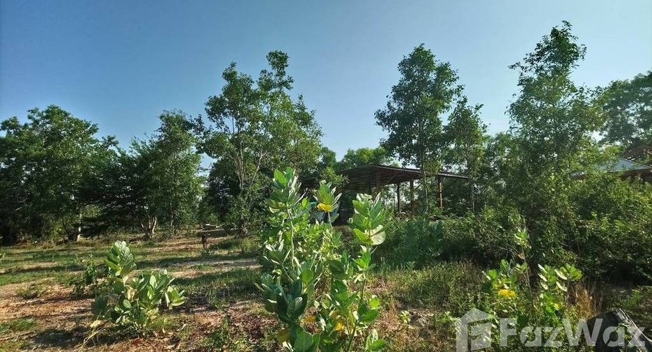 For sale land in Prasat, Surin
