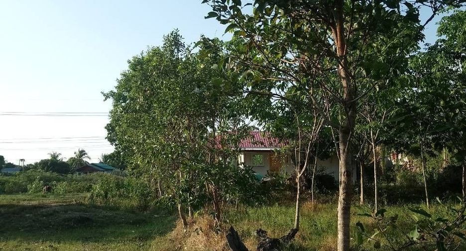 For sale land in Prasat, Surin