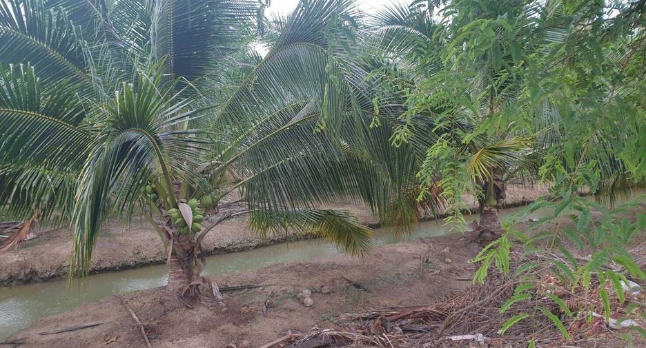 For sale land in Damnoen Saduak, Ratchaburi