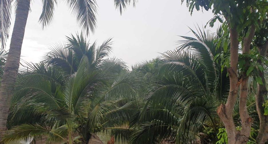 For sale land in Damnoen Saduak, Ratchaburi
