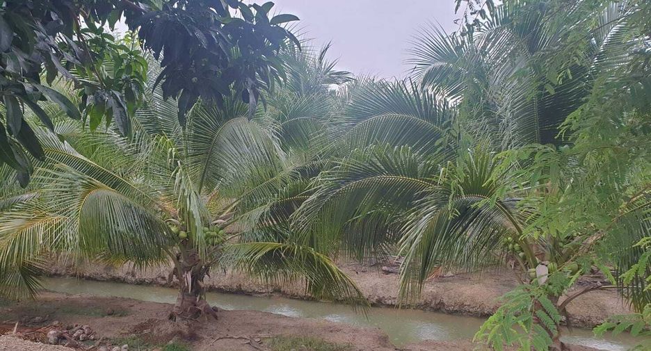 For sale land in Damnoen Saduak, Ratchaburi