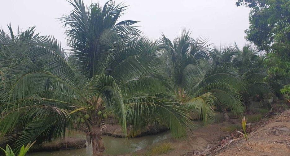 For sale land in Damnoen Saduak, Ratchaburi