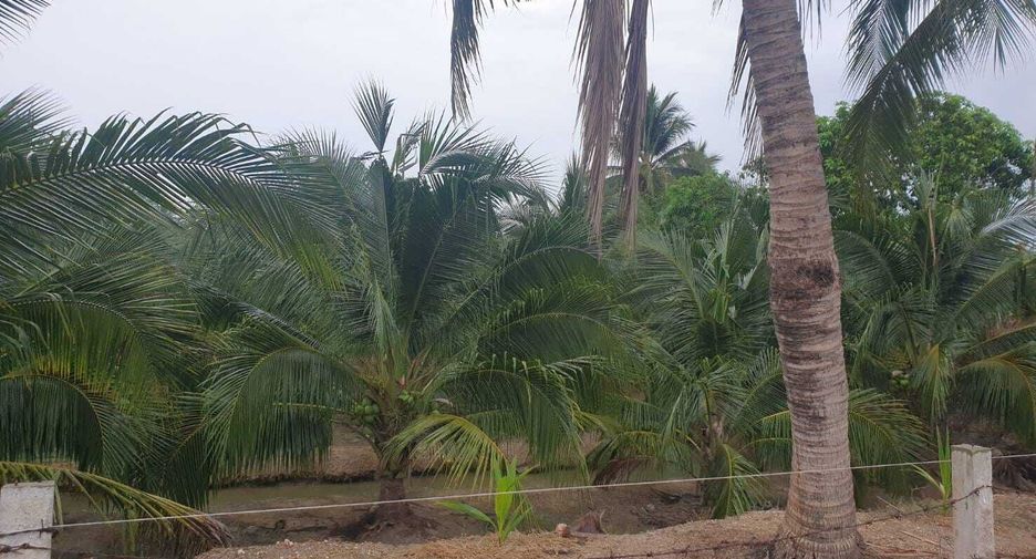 For sale land in Damnoen Saduak, Ratchaburi
