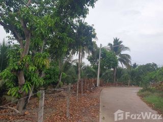 出售 土地 在 Damnoen Saduak, Ratchaburi