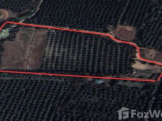 出售 土地 在 Damnoen Saduak, Ratchaburi
