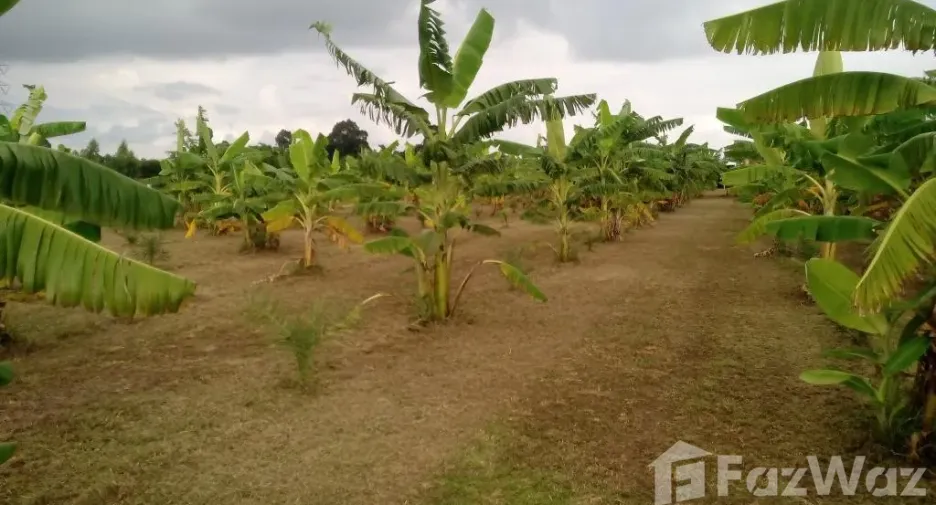 For sale 3 bedrooms villa in Mueang Buriram, Buriram
