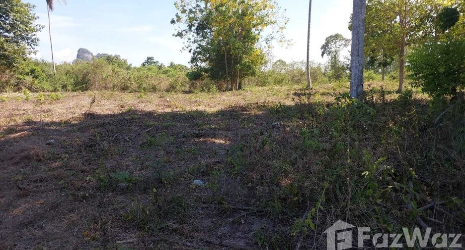 For sale land in Don Sak, Surat Thani