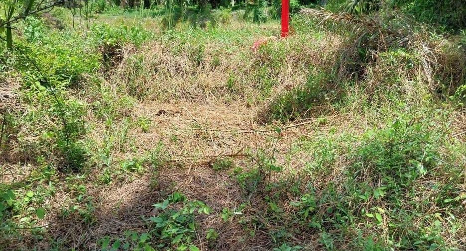 For sale land in Don Sak, Surat Thani