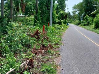 For sale land in Don Sak, Surat Thani
