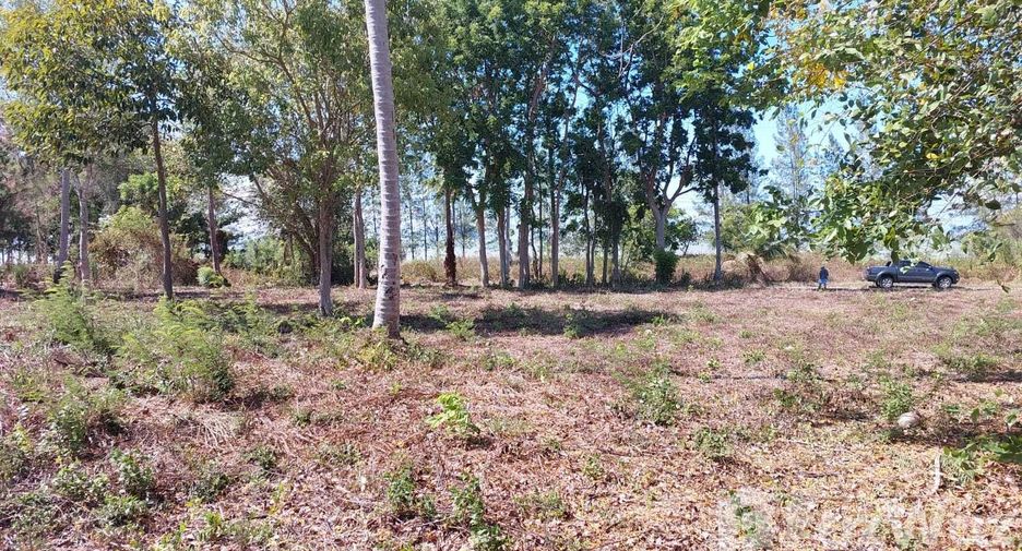 For sale land in Don Sak, Surat Thani
