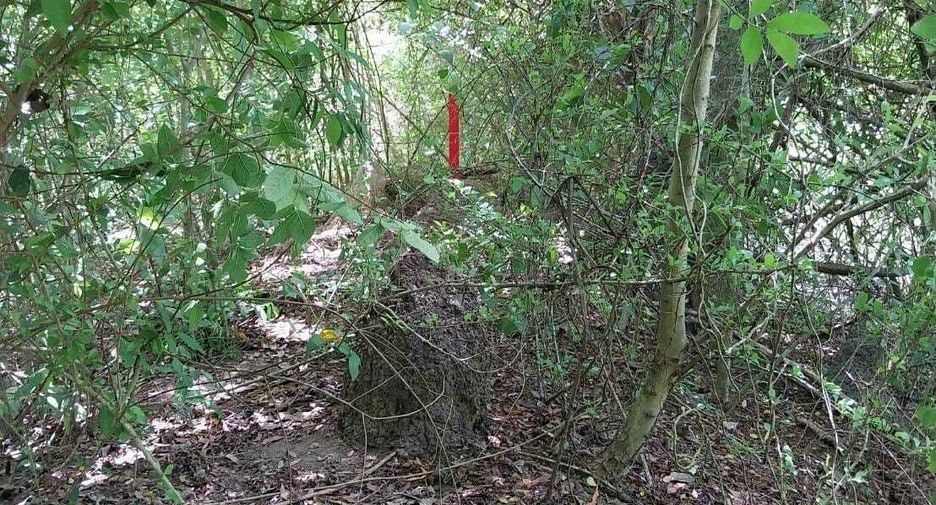 For sale land in Don Sak, Surat Thani