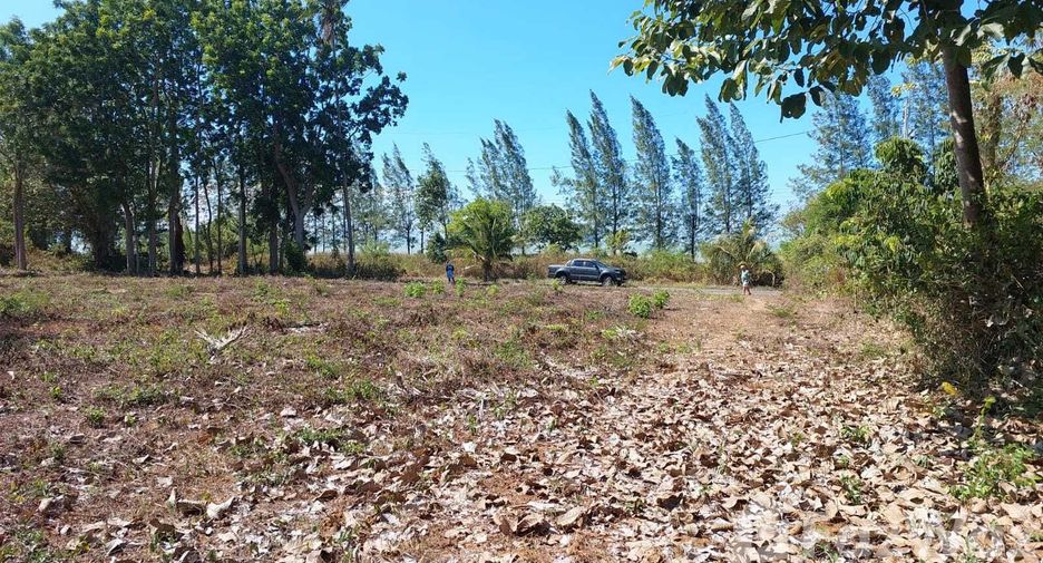 For sale land in Don Sak, Surat Thani