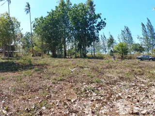 For sale land in Don Sak, Surat Thani