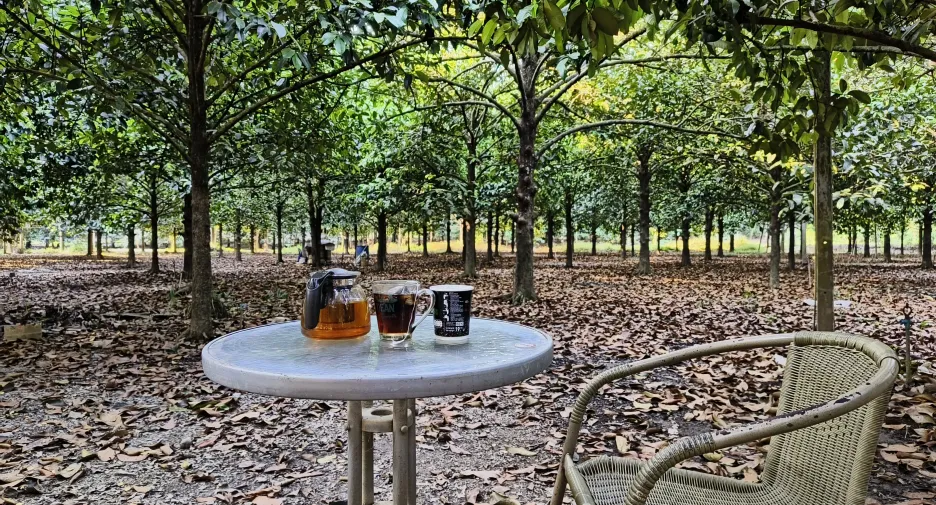 Grundstück zum Kauf in Makham, Chanthaburi
