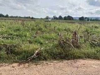 For sale land in Pak Thong Chai, Nakhon Ratchasima