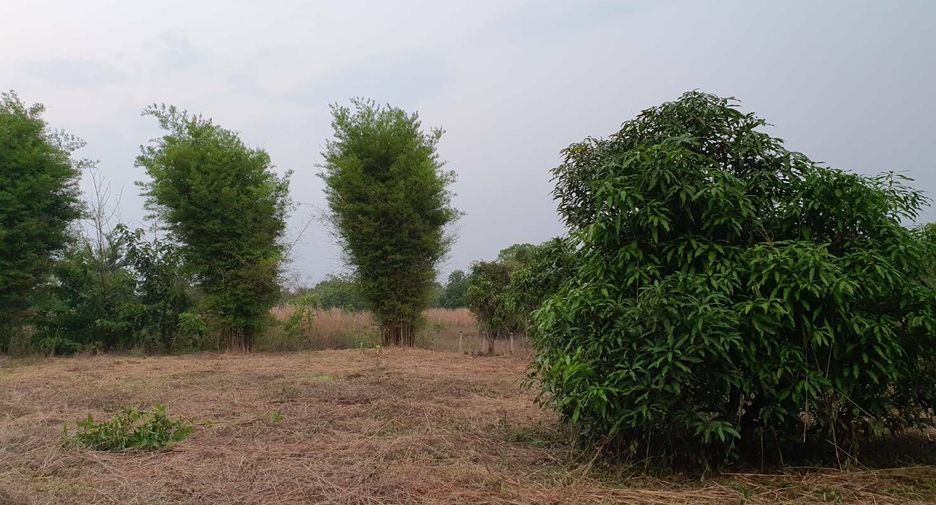 For sale land in Phen, Udon Thani