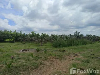 出售 土地 在 Ban Pong, Ratchaburi