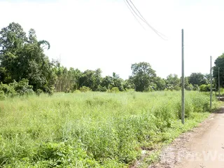 出售 土地 在 Kabin Buri, Prachin Buri