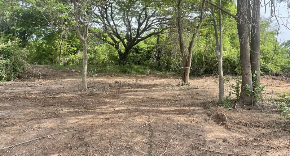 For sale land in Mueang Ubon Ratchathani, Ubon Ratchathani