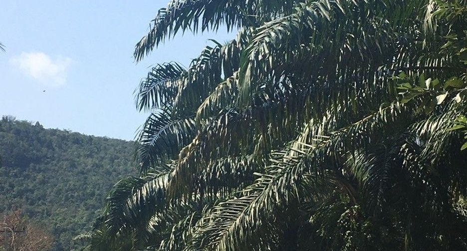 出售 土地 在 Mueang Chumphon, Chumphon
