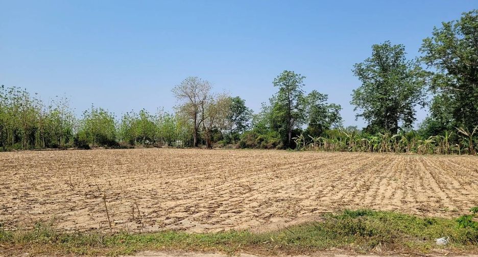For sale land in Khanu Woralaksaburi, Kamphaeng Phet