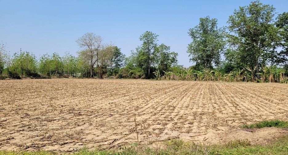 For sale land in Khanu Woralaksaburi, Kamphaeng Phet
