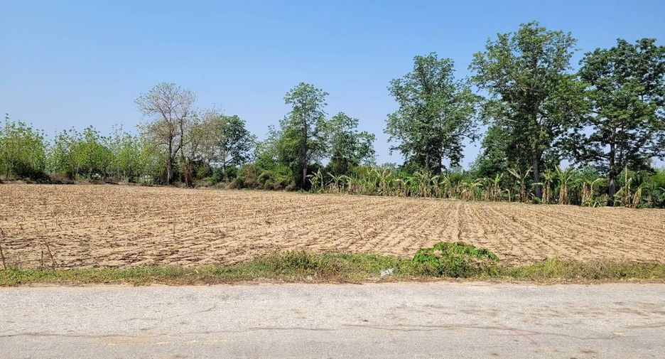 For sale land in Khanu Woralaksaburi, Kamphaeng Phet
