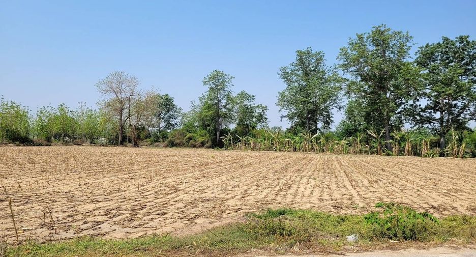 For sale land in Khanu Woralaksaburi, Kamphaeng Phet