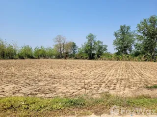 出售 土地 在 Khanu Woralaksaburi, Kamphaeng Phet