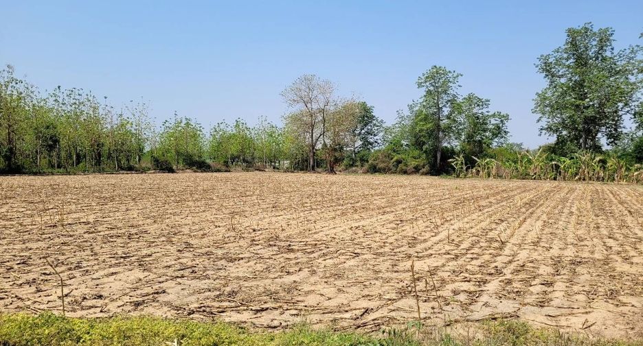 For sale land in Khanu Woralaksaburi, Kamphaeng Phet