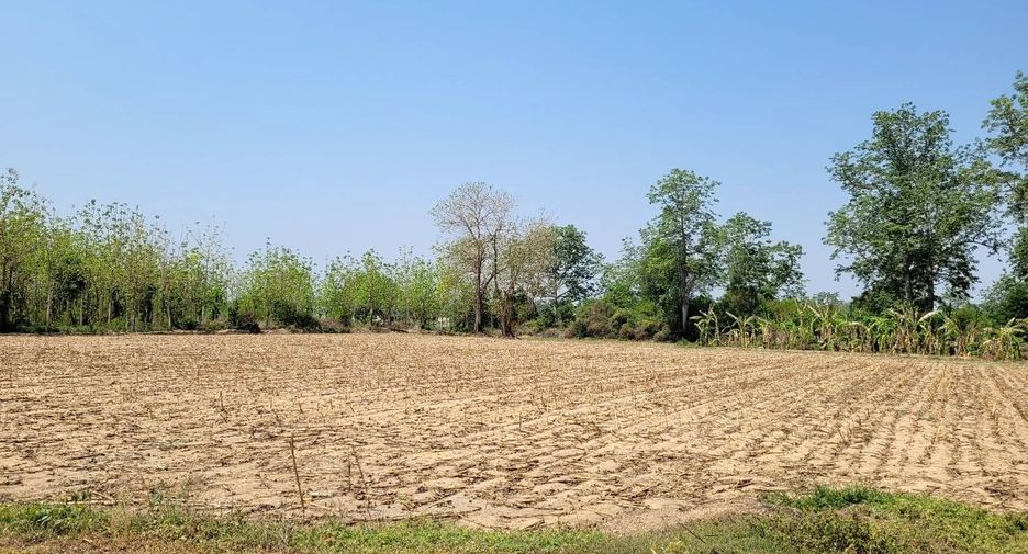 For sale land in Khanu Woralaksaburi, Kamphaeng Phet