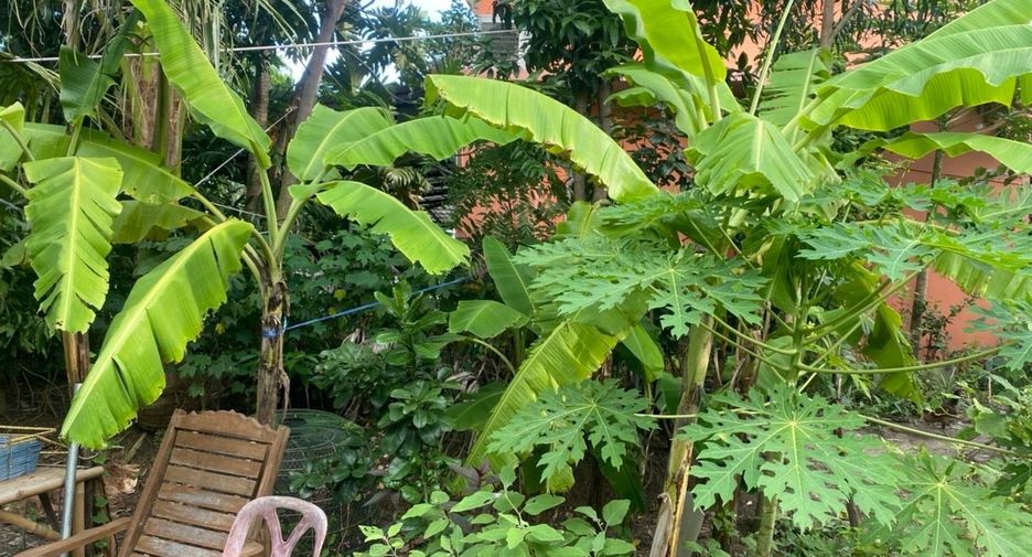 For sale 6 bedrooms house in Lat Lum Kaeo, Pathum Thani