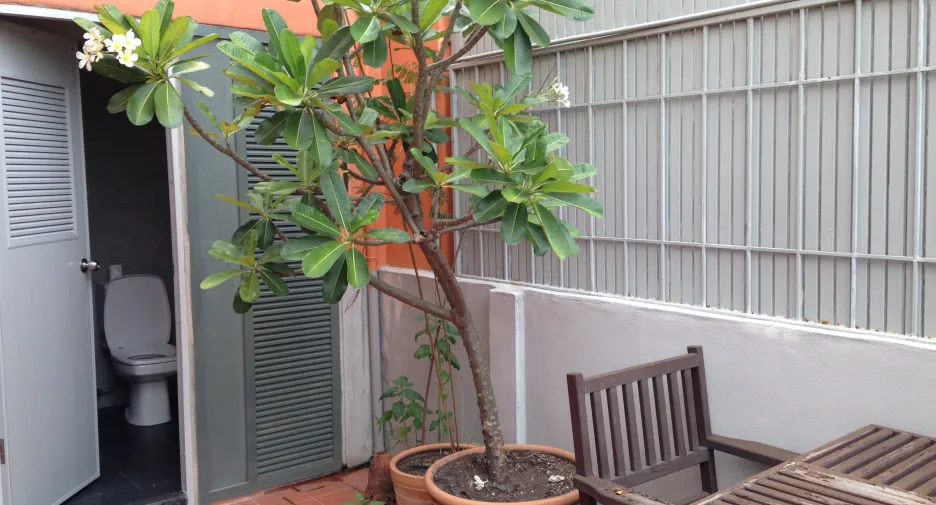 Продажа и аренда офис в Mueang Nonthaburi, Нонтабури